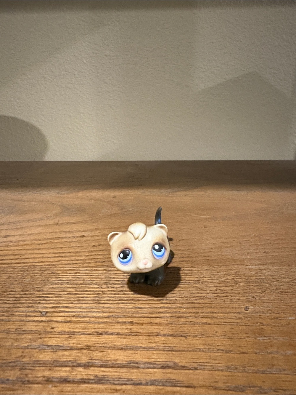 Small LPS